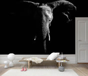3D Black White Elephant Wall Mural Wallpaper 129- Jess Art Decoration