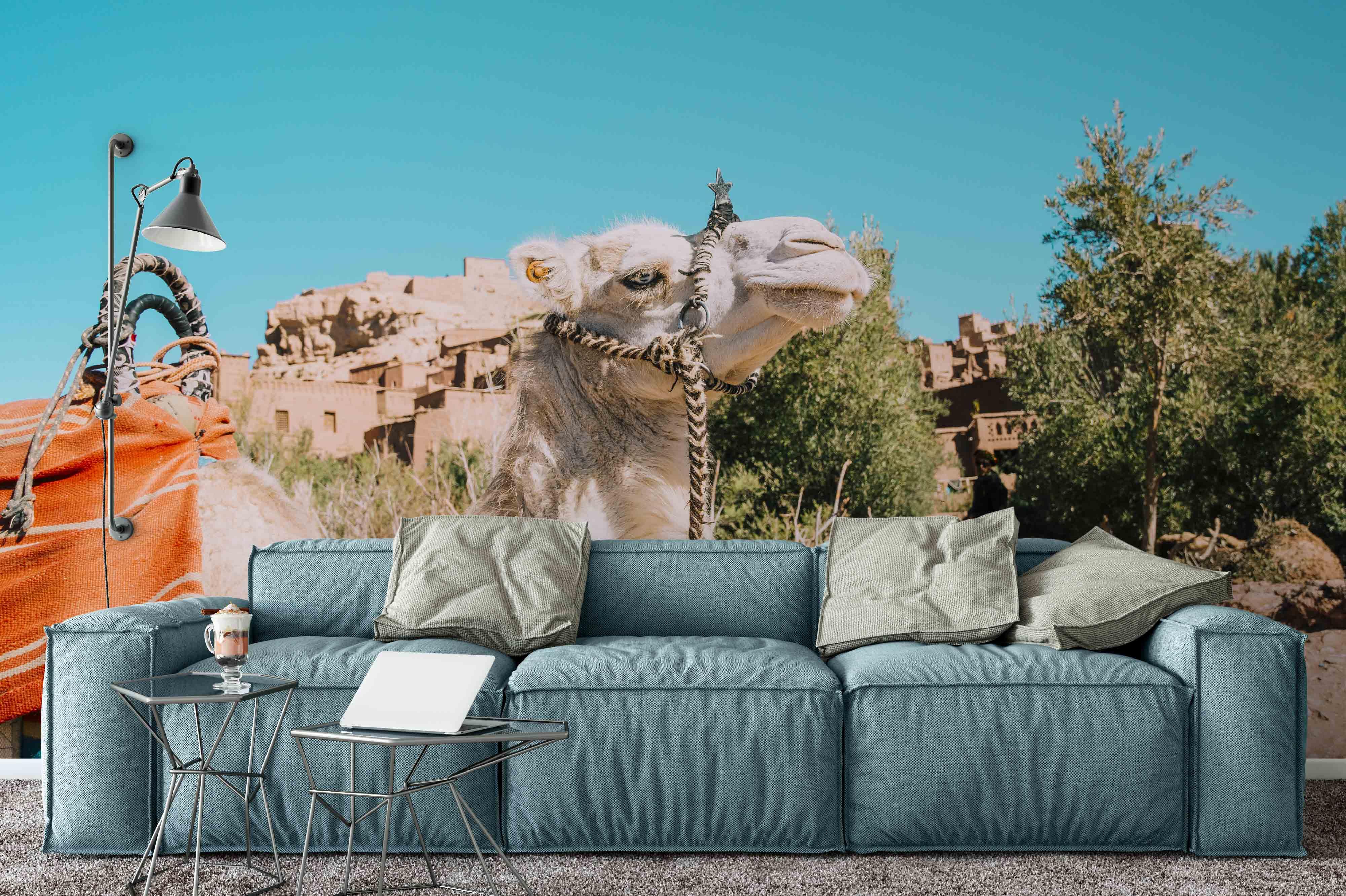 3D Camel Blue Sky Wall Mural Wallpaper 21- Jess Art Decoration