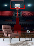 3D Basketball Stadium Wall Mural Wallpaper 04- Jess Art Decoration