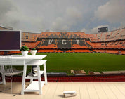 3D Spain Mestalla Stadium Wall Mural Wallpaper GD 77- Jess Art Decoration