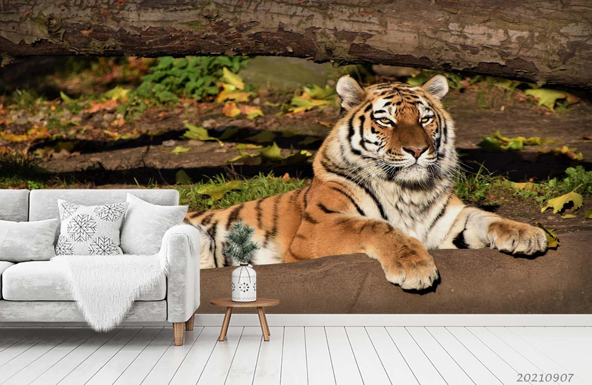 3D Forest Animal Tiger Wall Mural Wallpaper LQH 174- Jess Art Decoration