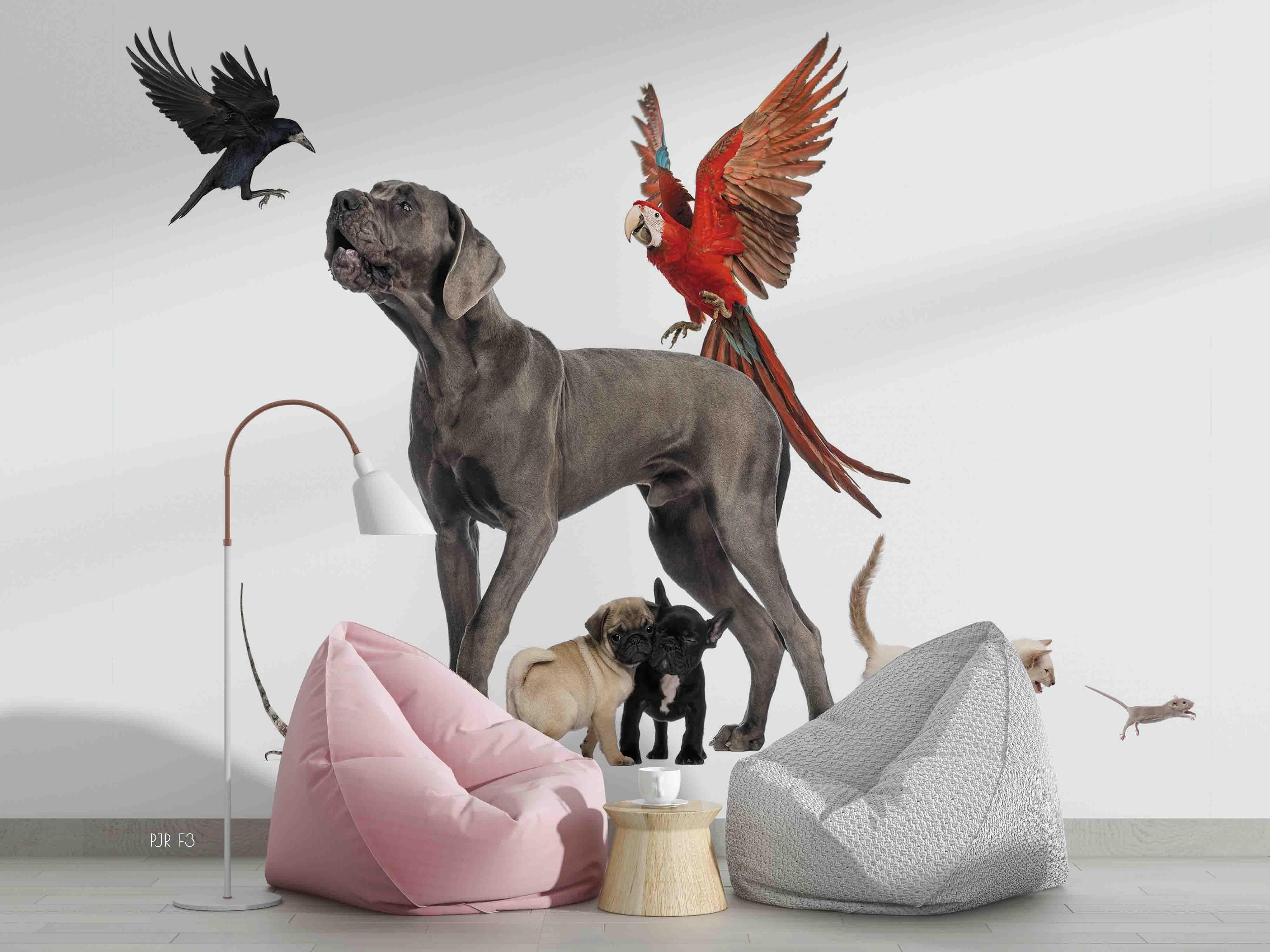 3D Dog Colorful Parrot Animal Wall Mural Wallpaper LXL 11- Jess Art Decoration