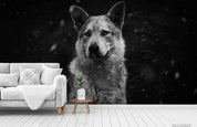 3D Forest Animal Wolf Wall Mural Wallpaper LQH 52- Jess Art Decoration