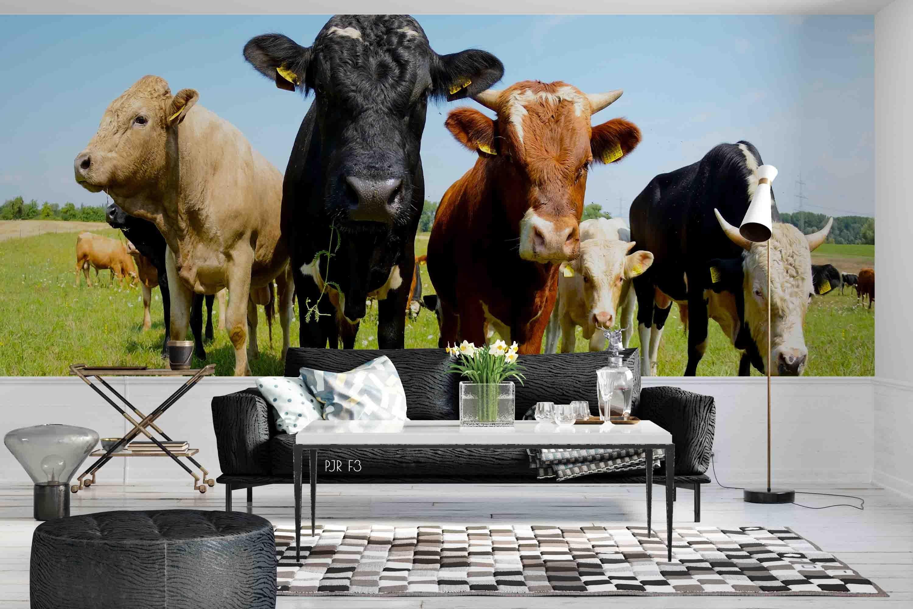 3D Farm Cow Grassland farm cow animal mural wall mural wallpaper for kids room - view 3