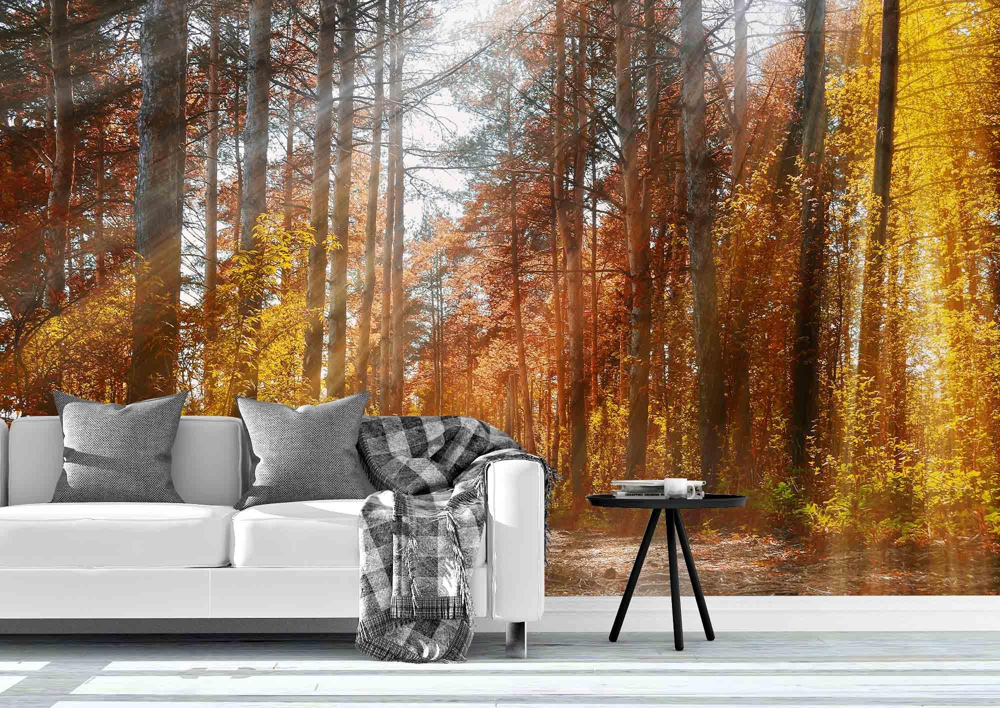 3D Forest Fall Wall Mural Wallpaper 161- Jess Art Decoration
