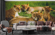 3D  Africa Grassland Lion Wall Mural Wallpaper SWW1691- Jess Art Decoration