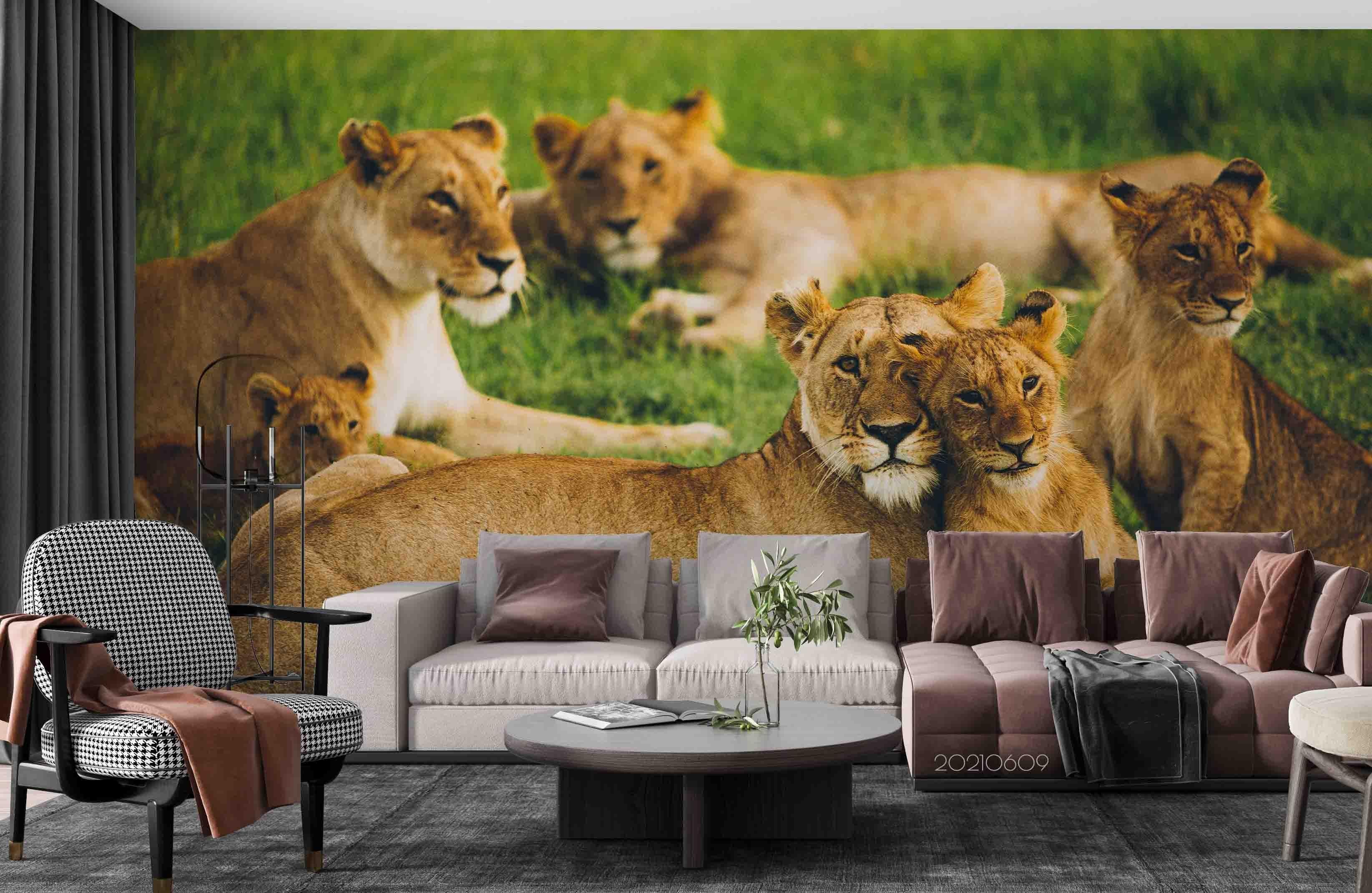 3D  Africa Grassland Lion Wall Mural Wallpaper SWW1691- Jess Art Decoration