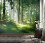 3D Forest Sunlight Wall Mural Wallpaper 170- Jess Art Decoration