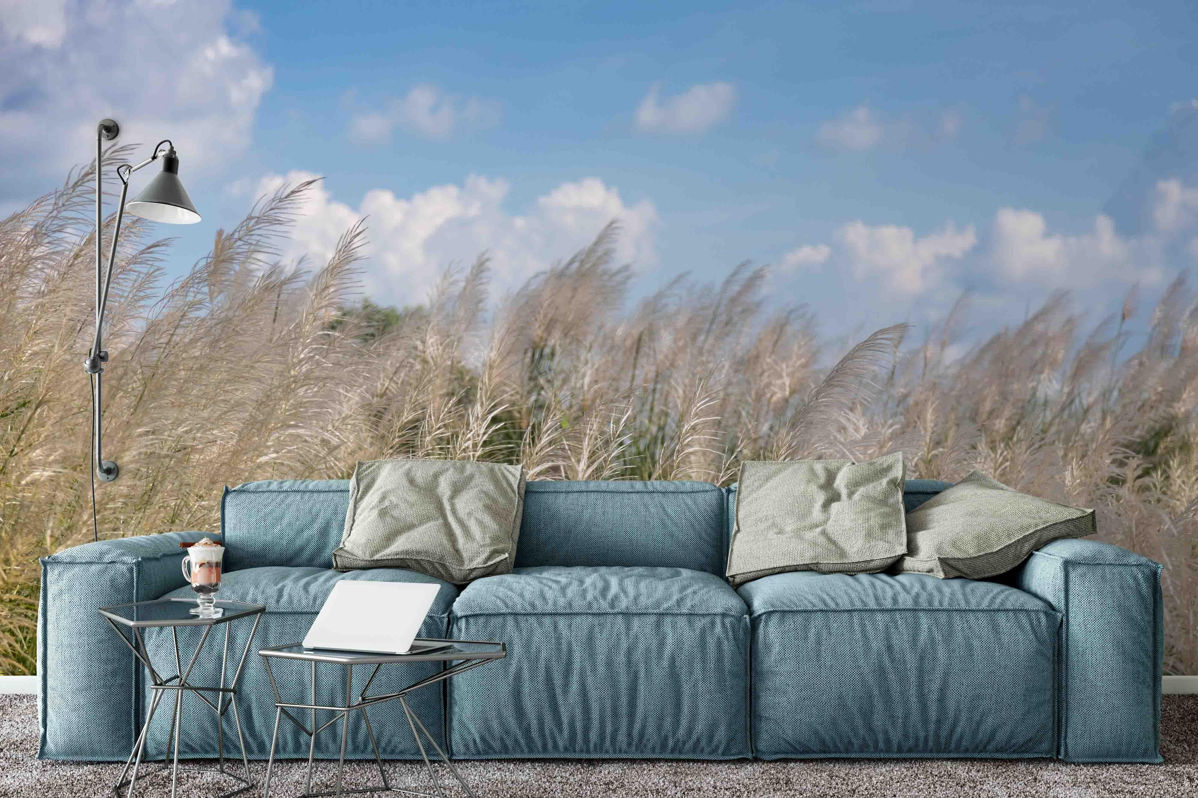 3D blue sky reed wall mural wallpaper 14- Jess Art Decoration