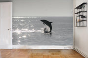 3D Sea Sunlight Dolphin Wall Mural Wallpaper WJ 3119- Jess Art Decoration