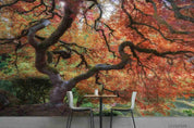3D Big Red Maple Wall Mural Wallpaper SWW176- Jess Art Decoration