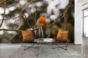 3D Branch Bird Wall Mural Wallpaper LQH 115- Jess Art Decoration