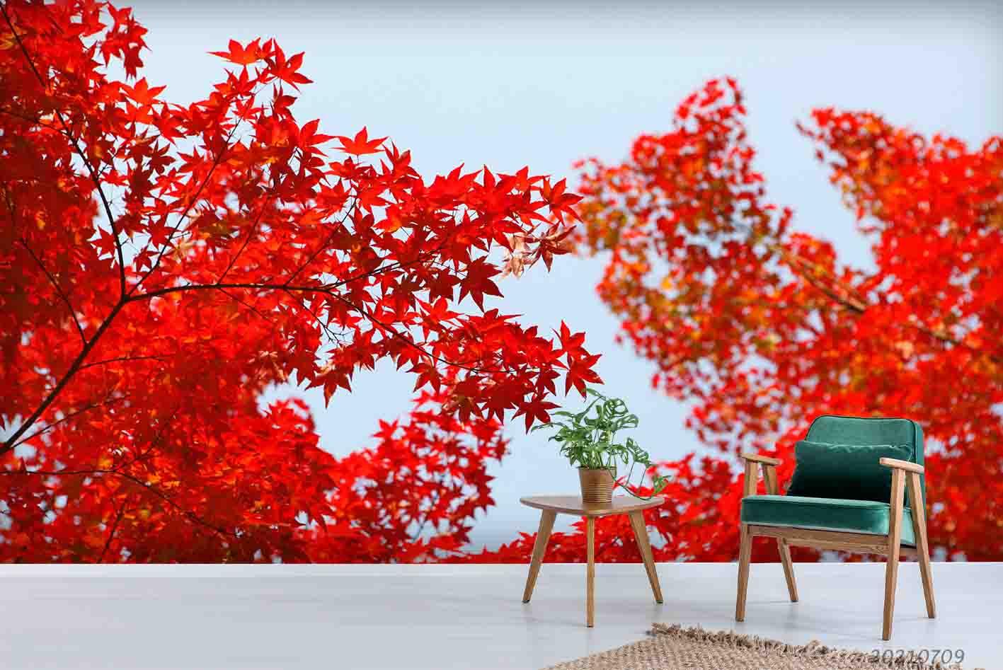 3D Red Maple Wall Mural Wallpaper SWW3897- Jess Art Decoration