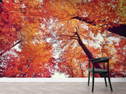 3D Plant Forest Maple Leaf Red Landscape Wall Mural Wallpaper LLL 1968- Jess Art Decoration