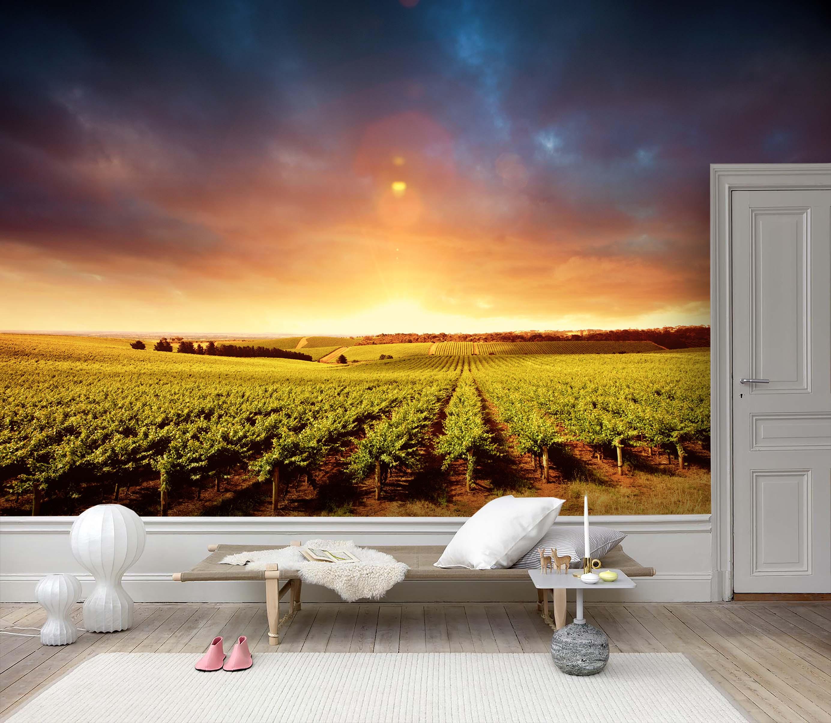3D Dazzling Sunrise Vineyard Wall Mural Wallpaper 53- Jess Art Decoration
