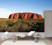 3D Meadow Rock Wall Mural Wallpaper 123- Jess Art Decoration