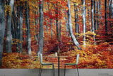 3D Nature Forest Red MapleWall Mural Wallpaper SWW441- Jess Art Decoration