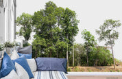 3D Green Forest Tree Landscape Wall Mural Wallpaper LQH 209- Jess Art Decoration
