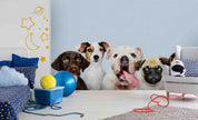 3D Cute Dog Portraits dog portrait animal mural wall mural wallpaper for kids room - view 3