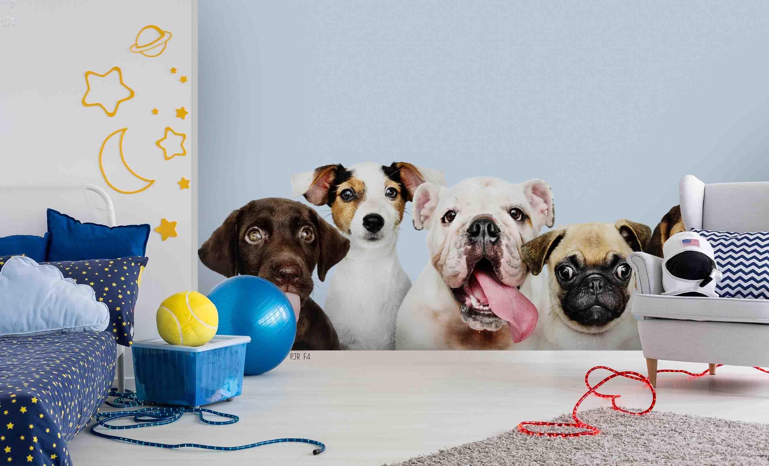 3D Cute Dog Portraits dog portrait animal mural wall mural wallpaper for kids room - view 3