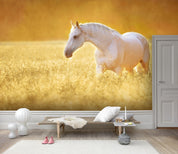 3D Grassland Sunshine White Horse Wall Mural Wallpaper 85- Jess Art Decoration