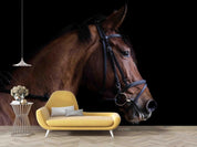 3D Animal Brown Horse Wall Mural Wallpaper LQH 75- Jess Art Decoration