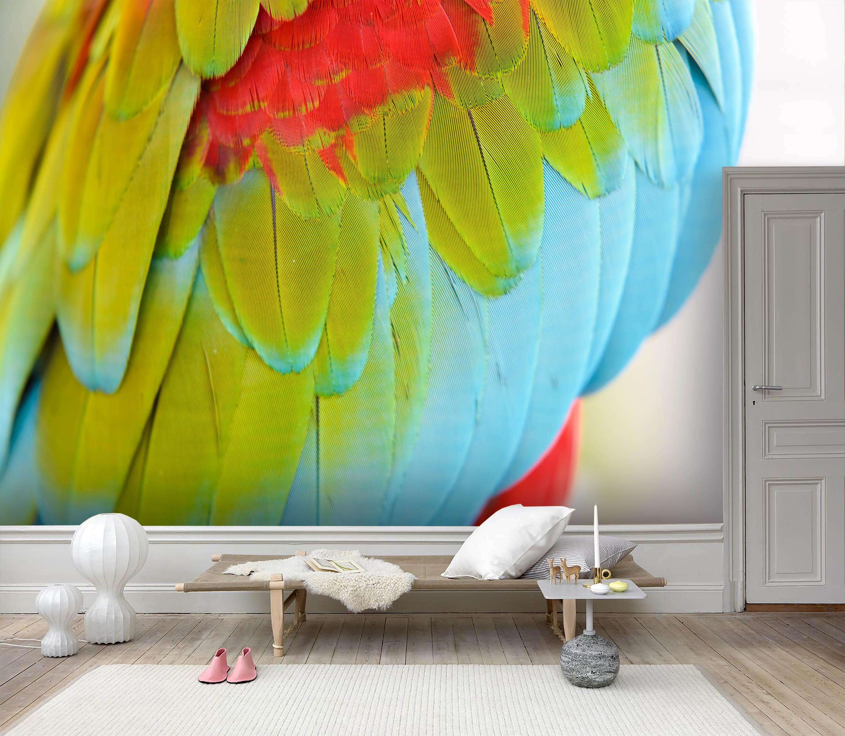 3D Colored Feathers Wall Mural Wallpaper 112- Jess Art Decoration