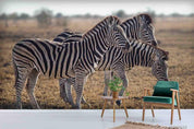 3D Wild Animal Zebra Wall Mural Wallpaper LQH 15- Jess Art Decoration