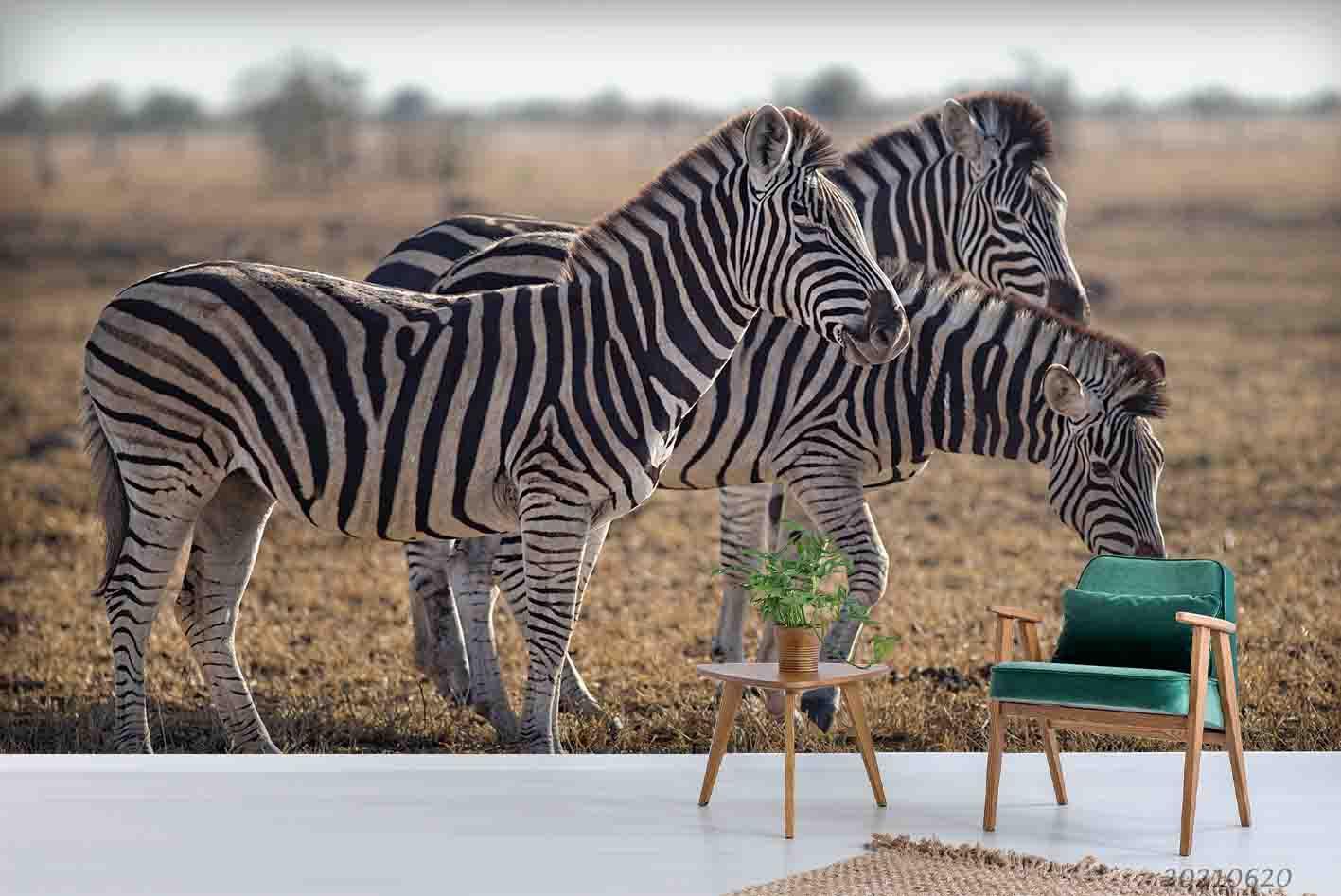 3D Wild Animal Zebra Wall Mural Wallpaper LQH 15- Jess Art Decoration