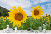 3D blue sky sunflower wall mural wallpaper 5- Jess Art Decoration