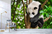 3D Wild Animal Panda Forest Wall Mural Wallpaper LQH 204- Jess Art Decoration