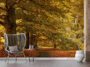 3D Autumn Forest Park Scenery Wall Mural Wallpaper LQH 65- Jess Art Decoration