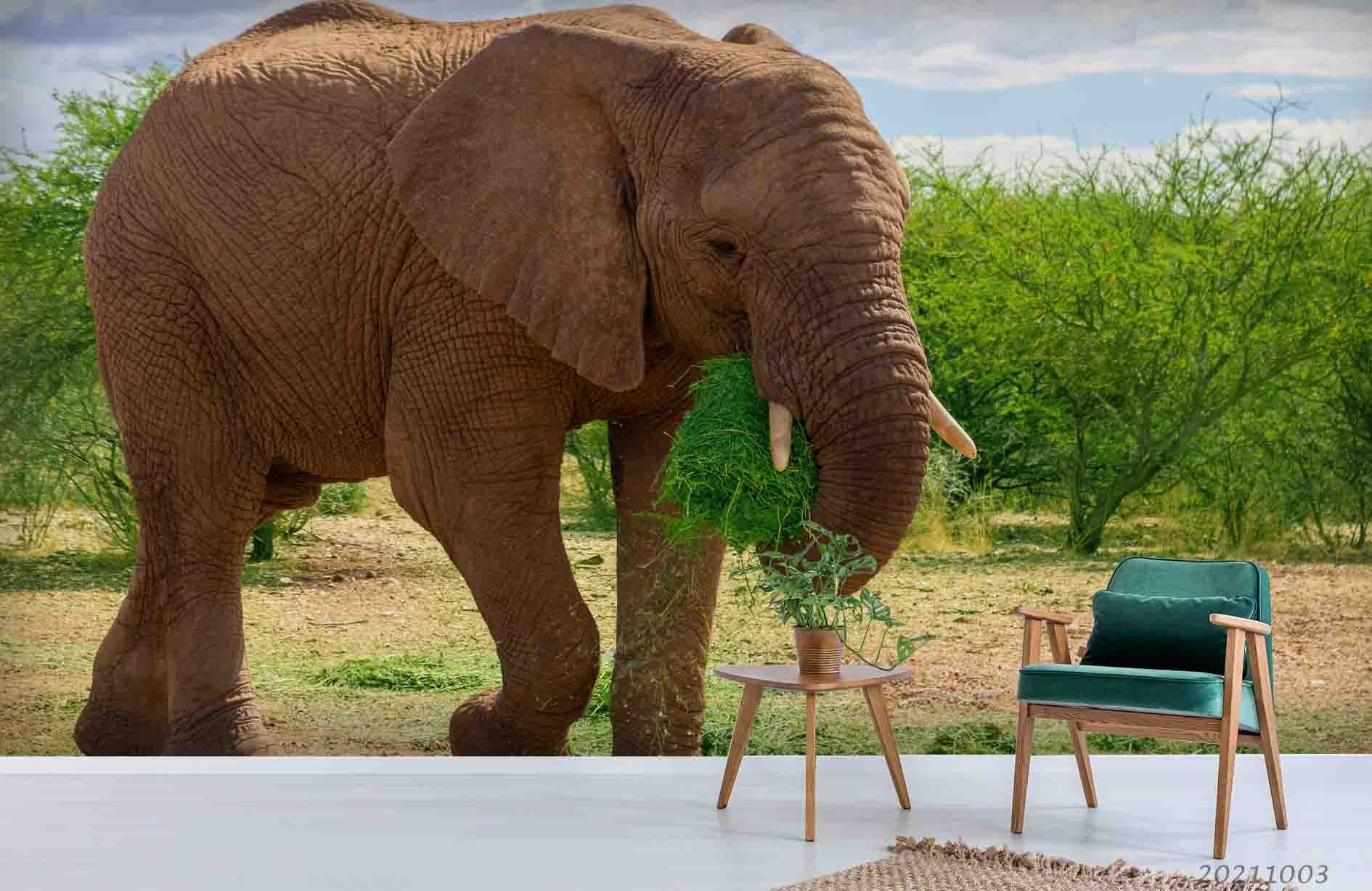 3D Green Tree Forest Animal Elephant Wall Mural Wallpaper LQH 372- Jess Art Decoration
