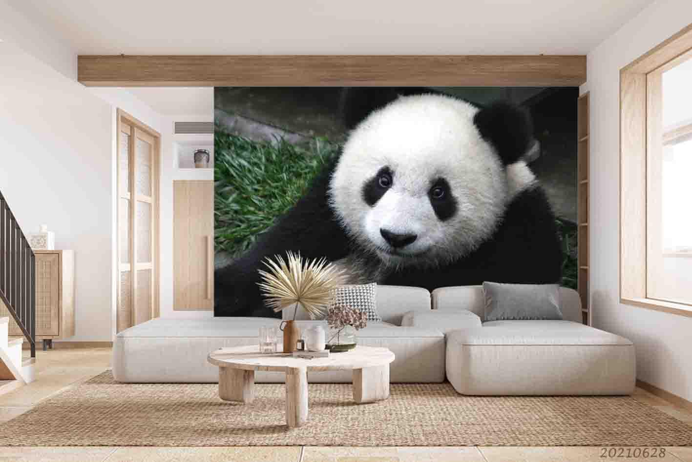 3D Wild Animal Panda Wall Mural Wallpaper LQH 208- Jess Art Decoration