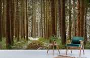 3D Green Tree Forest Nature Landscape Wall Mural Wallpaper LQH 517- Jess Art Decoration
