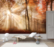 3D Forest Sunshine Wall Mural Wallpaper 61- Jess Art Decoration