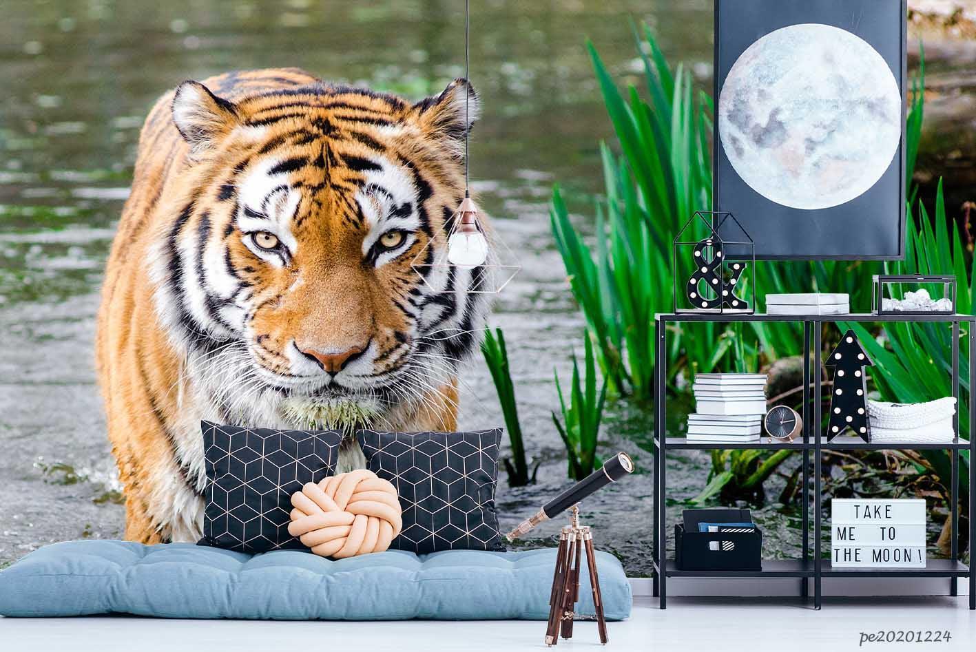 3D Lake Green Leaf Tiger Wall Mural Wallpaper LQH 660- Jess Art Decoration