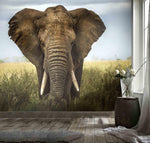3D Elephant Plant Sky Wall Mural Wallpaper 05- Jess Art Decoration