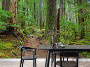 3D Hoh Rain Forest Landscape Wall Mural Wallpaper LQH 215- Jess Art Decoration