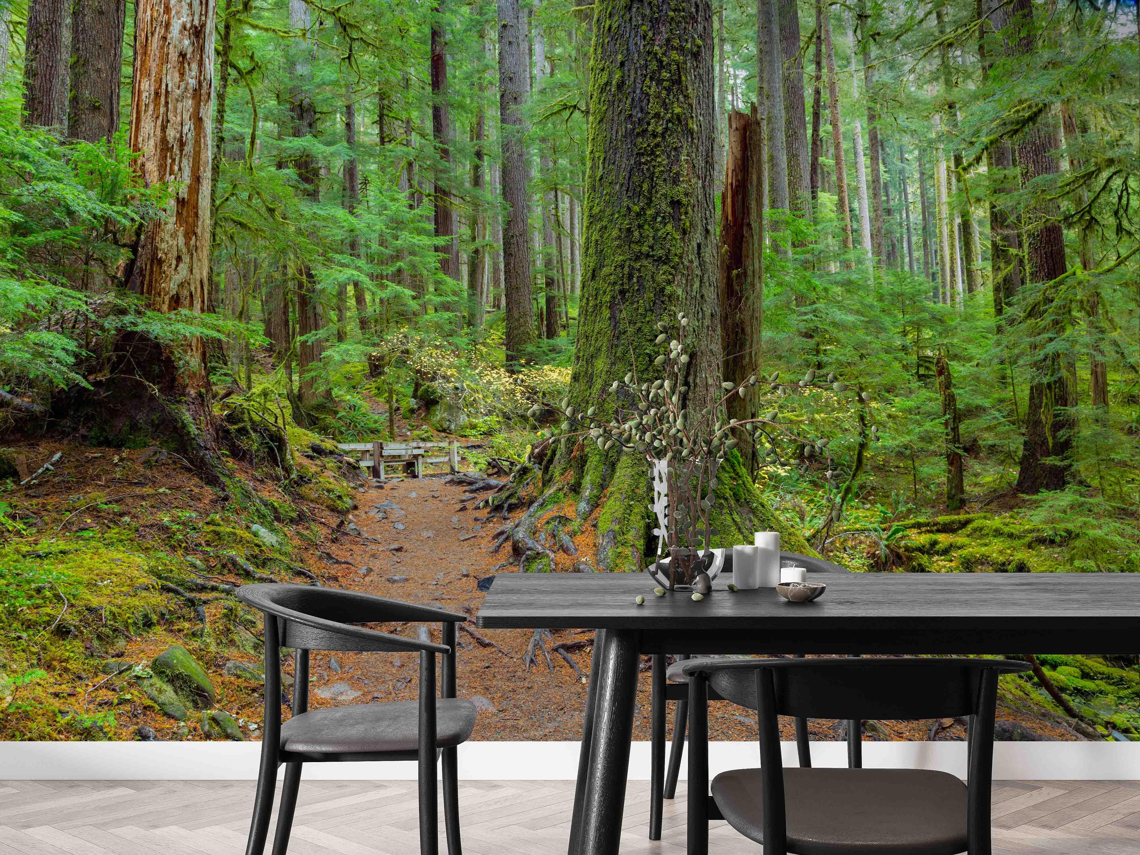 3D Hoh Rain Forest Landscape Wall Mural Wallpaper LQH 215- Jess Art Decoration