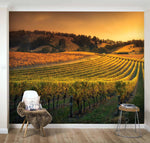 3D Sunset Vineyard Wall Mural Wallpaper 40- Jess Art Decoration