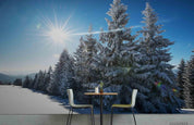 3D Sunshine Snow Pine Tree Forest Landscape Wall Mural Wallpaper LQH 687- Jess Art Decoration