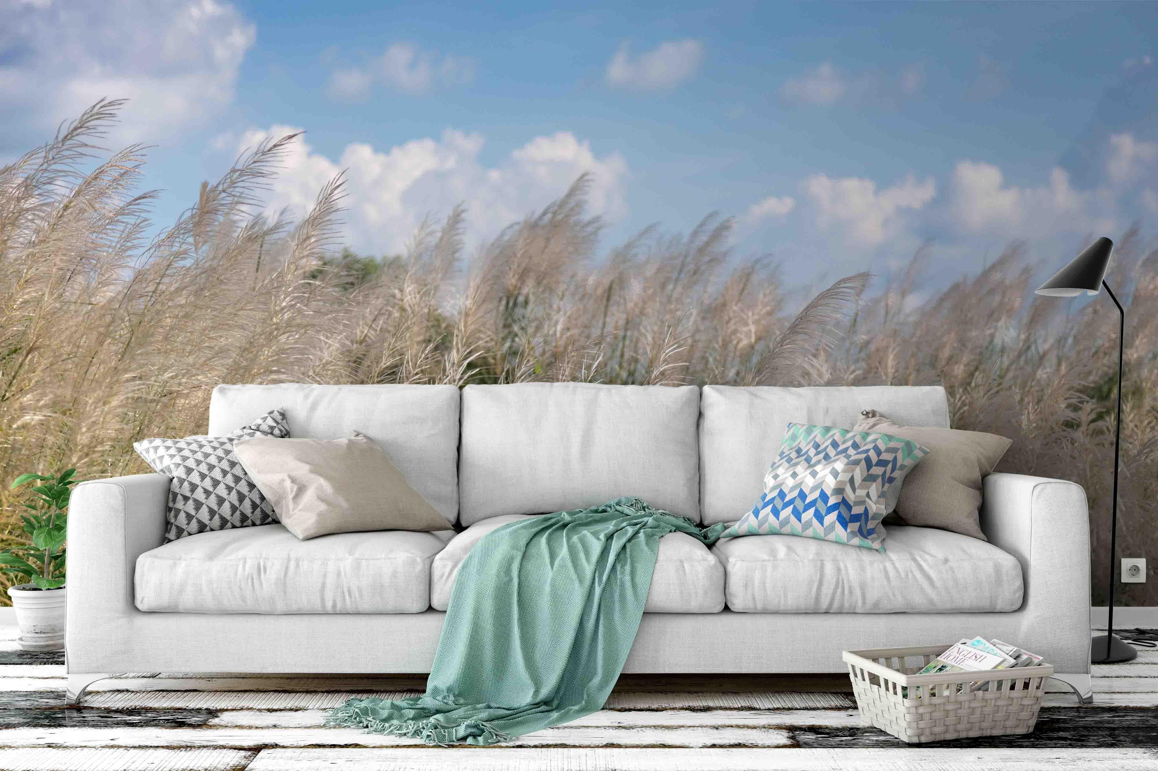 3D blue sky reed wall mural wallpaper 14- Jess Art Decoration