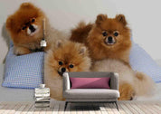3D Pillow Puppy Dog Wall Mural Wallpaper 116- Jess Art Decoration