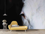 3D White Horse Black Background Wall Mural Wallpaper 08 LQH- Jess Art Decoration