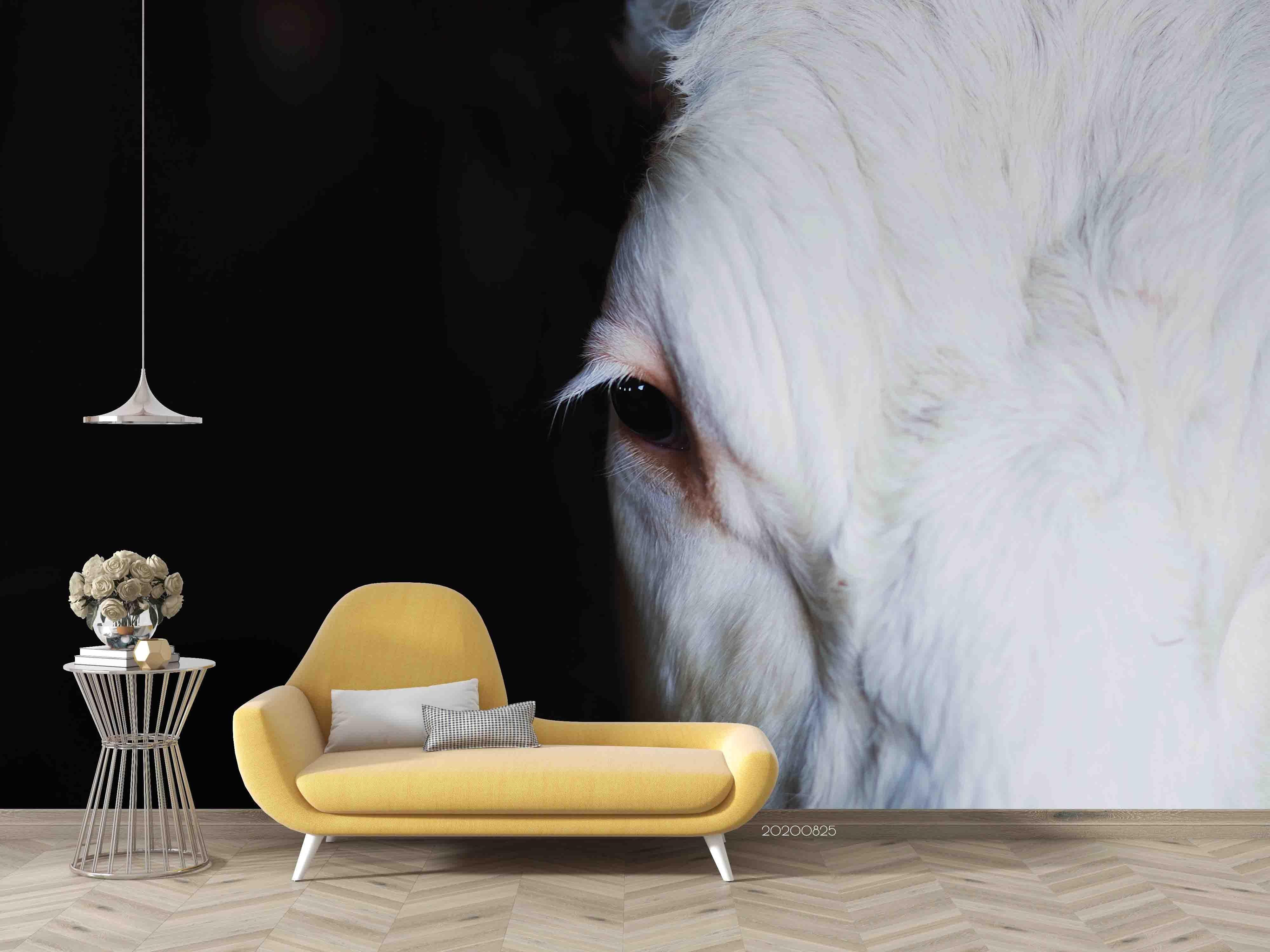 3D White Horse Black Background Wall Mural Wallpaper 08 LQH- Jess Art Decoration