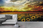 3D Sunflower Field Sky Clouds Wall Mural Wallpaper 117- Jess Art Decoration