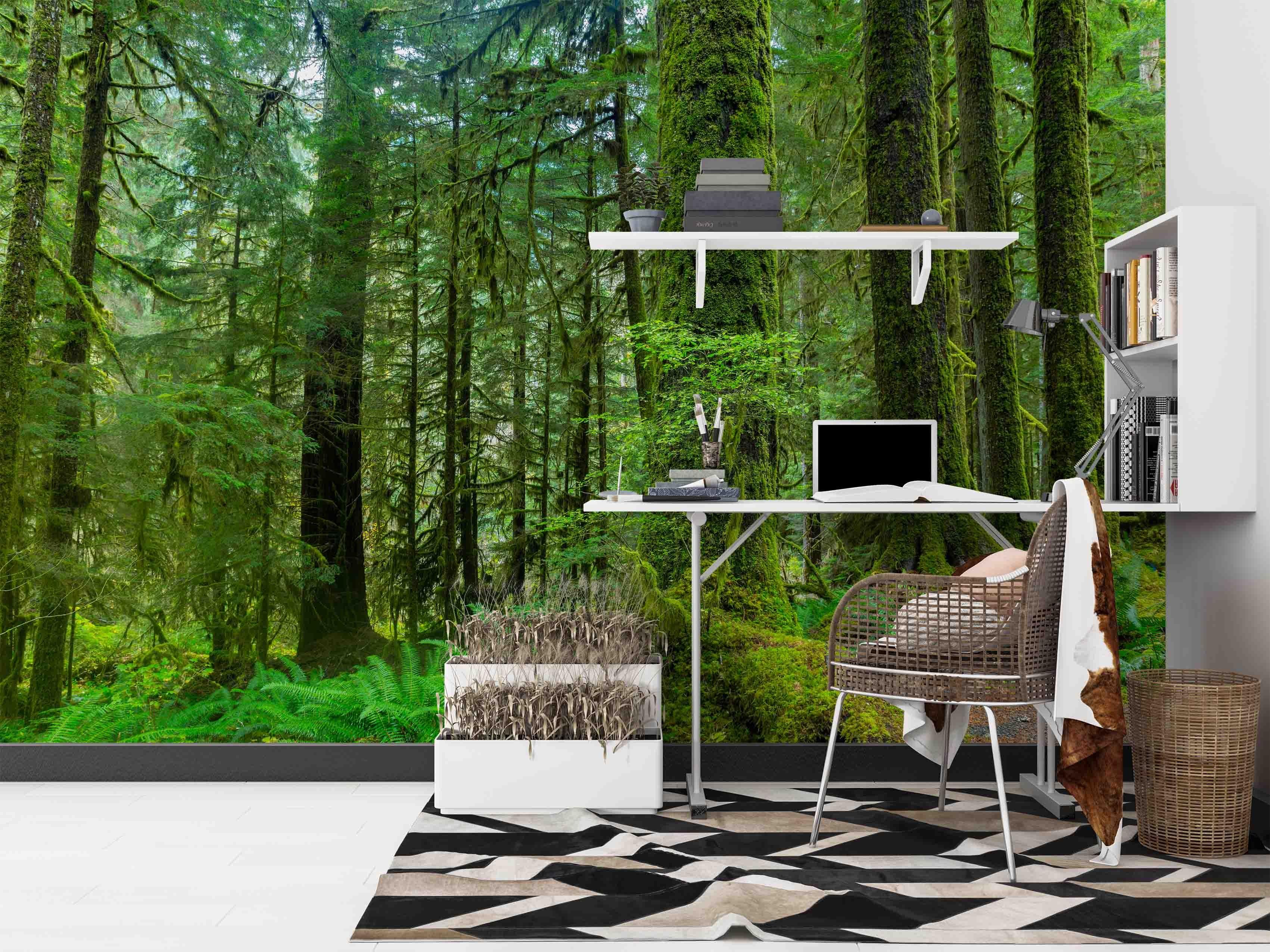 3D Hoh Rain Forest Landscape Wall Mural Wallpaper LQH 218- Jess Art Decoration