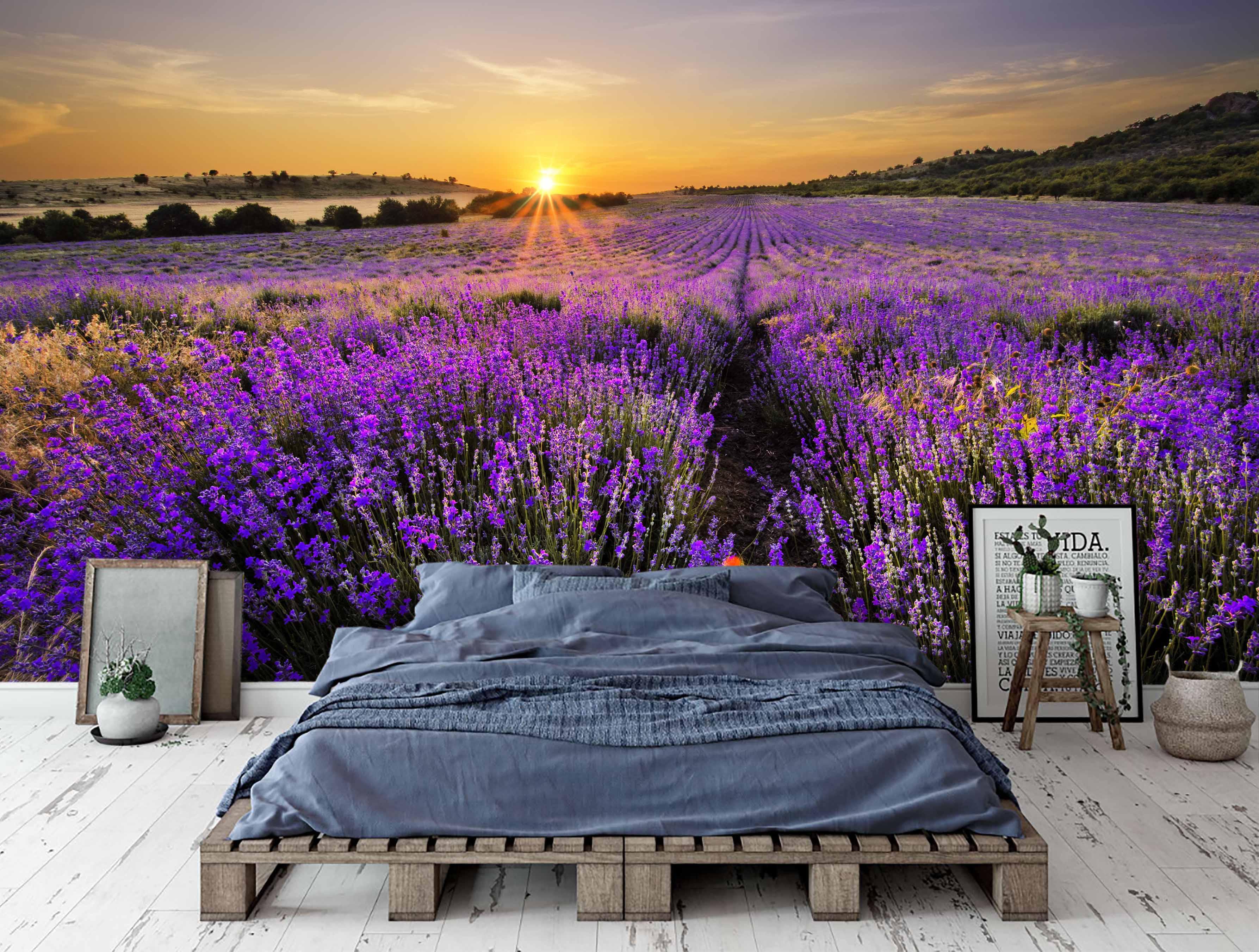 3D Sunrise Purple Fields Wall Mural Wallpaper 8- Jess Art Decoration