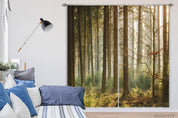 3D Woods Tree Branch Sunbeam Wilderness Curtains and Drapes GD 4491- Jess Art Decoration